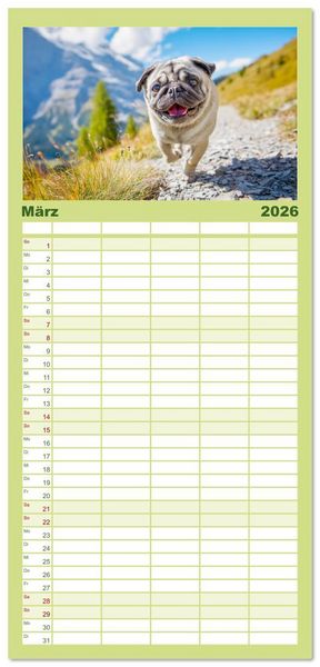 Produktbild: Familienplaner 2026 - Mops trifft Berglust. Fidele Gipfelst&uuml;rmer im H&ouml;henrausch mit 5 Spalten (Wandkalender, 21 x 45 cm) CALVENDO
