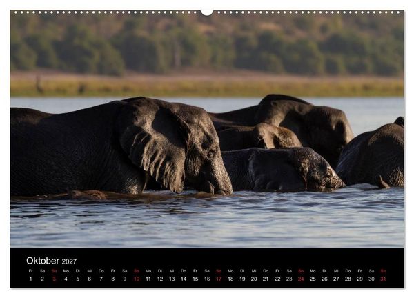 Produktbild: Elefanten - Die sanften Riesen Afrikas (Wandkalender 2027 DIN A2 quer), CALVENDO Monatskalender