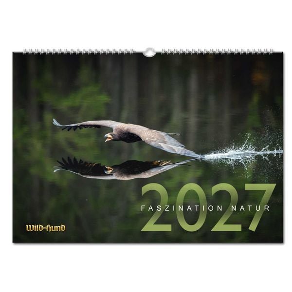 Produktbild: Wild und Hund Edition: Faszination Natur Kalender 2027