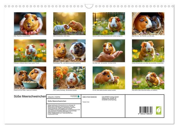 Produktbild: S&uuml;&szlig;e Meerschweinchen (Wandkalender 2026 DIN A3 quer), CALVENDO Monatskalender