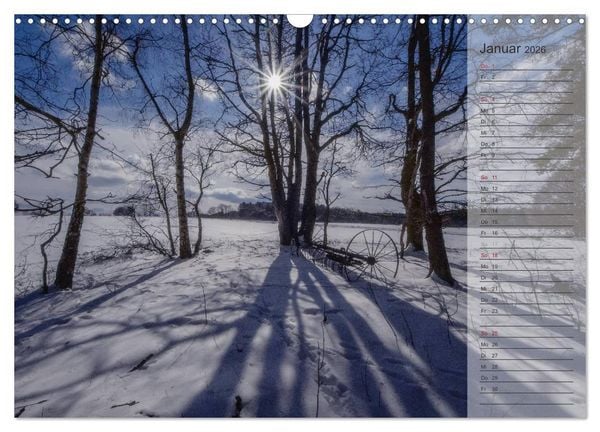 Produktbild: Unser Wald - Magische Sichten in norddeutsche W&auml;lder / Geburtstagskalender (Wandkalender 2026 DIN A3 quer), CALVENDO Monatskalender
