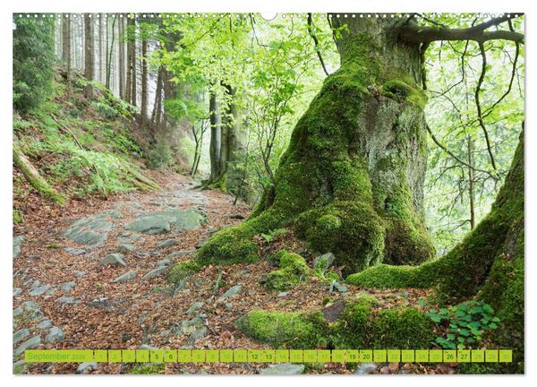 Produktbild: Eifel Sehnsucht (hochwertiger Premium Wandkalender 2026 DIN A2 quer), Kunstdruck in Hochglanz