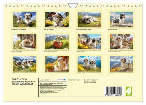 Produktbild: Shih Tzu Gl&uuml;ck. Zauberhafte Hunde im alpinen Wandergl&uuml;ck (Wandkalender 2026 DIN A4 quer), CALVENDO Monatskalender