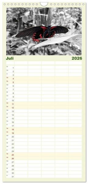Produktbild: Familienplaner 2026 - Gefl&uuml;gelte Sch&ouml;nheiten der Tropen mit 5 Spalten (Wandkalender, 21 x 45 cm) CALVENDO