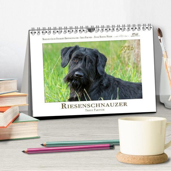 Produktbild: Riesenschnauzer - Treue Partner (Tischkalender 2026 DIN A5 quer), CALVENDO Monatskalender