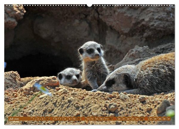 Produktbild: Erdm&auml;nnchens Kinderstube (hochwertiger Premium Wandkalender 2026 DIN A2 quer), Kunstdruck in Hochglanz