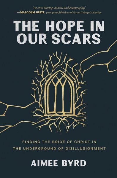 Produktbild: The Hope in Our Scars