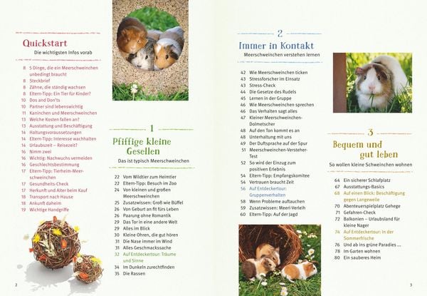Produktbild: Neugierige Meerschweinchen