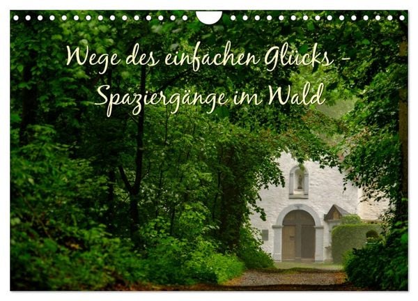 Wege des einfachen Glücks - Spaziergänge im Wald (Wandkalender 2026 DIN A4 quer), CALVENDO Monatskalender
