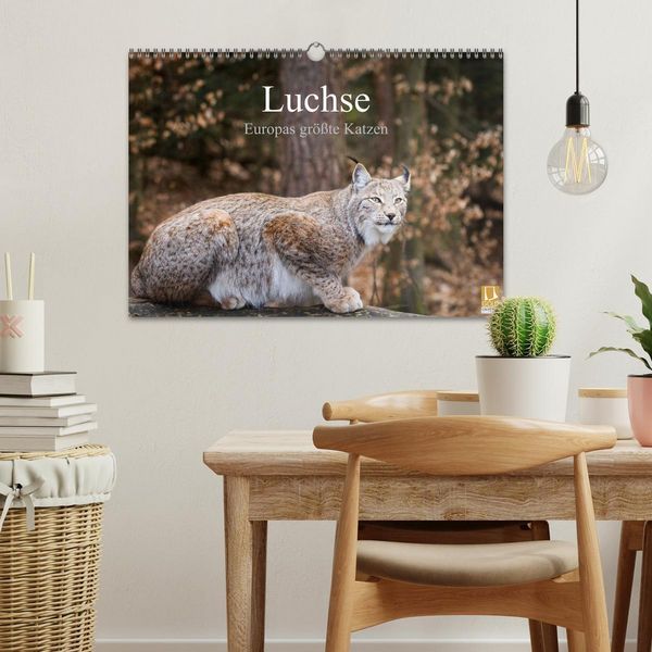 Produktbild: Luchse - Europas gr&ouml;&szlig;te Katzen (Wandkalender 2026 DIN A3 quer), CALVENDO Monatskalender