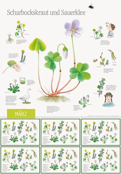Produktbild: Natur erleben durch das Jahr - 1