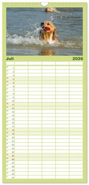 Produktbild: Familienplaner 2026 - Golden Retriever - Ein Herz auf 4 Pfoten mit 5 Spalten (Wandkalender, 21 x 45 cm) CALVENDO