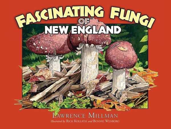 Produktbild: Fascinating Fungi of New England