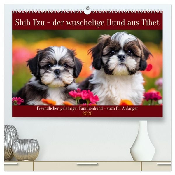 Produktbild: Shih Tzu - der wuschelige Hund aus Tibet (hochwertiger Premium Wandkalender 2026 DIN A2 quer), Kunstdruck in Hochglanz