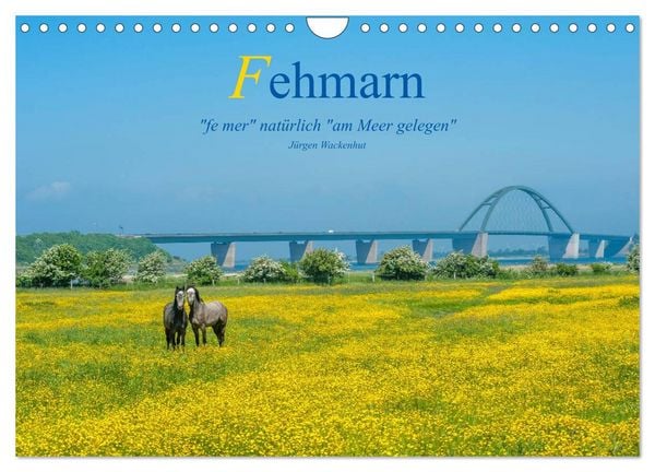 Produktbild: Fehmarn - "fe mer" nat&uuml;rlich "am Meer gelegen" (Wandkalender 2026 DIN A4 quer), CALVENDO Monatskalender