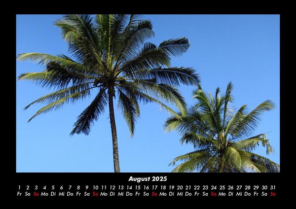 Produktbild: Palmentraum 2025 Fotokalender DIN A3