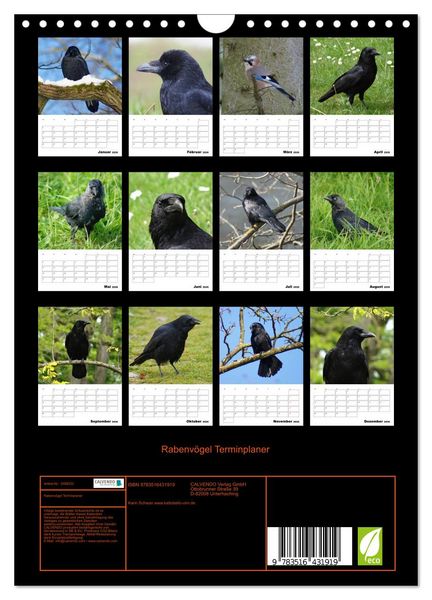 Produktbild: Rabenv&ouml;gel Terminplaner (Wandkalender 2026 DIN A4 hoch), CALVENDO Monatskalender