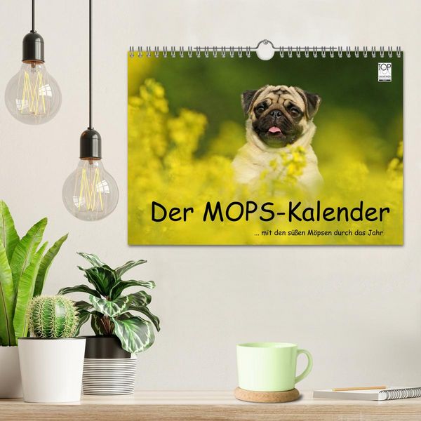 Produktbild: Der MOPS-Kalender (Wandkalender 2026 DIN A4 quer), CALVENDO Monatskalender