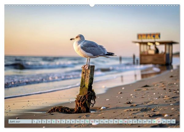 Produktbild: Ostsee Momente (hochwertiger Premium Wandkalender 2027 DIN A2 quer), Kunstdruck in Hochglanz