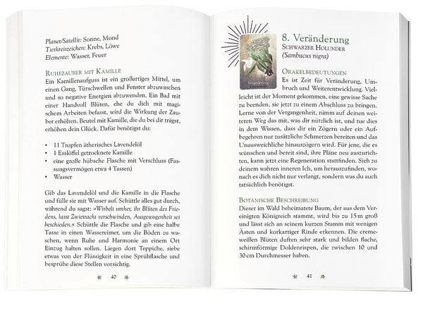 Produktbild: Das magische Orakel der Heilpflanzen