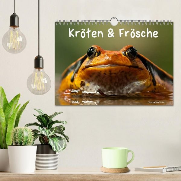 Produktbild: Kr&ouml;ten & Fr&ouml;sche (Wandkalender 2026 DIN A4 quer), CALVENDO Monatskalender