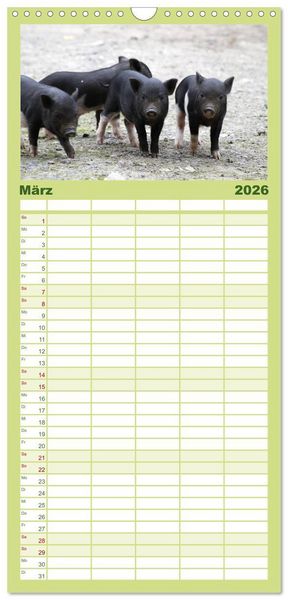 Produktbild: Familienplaner 2026 - Schwein gehabt! mit 5 Spalten (Wandkalender, 21 x 45 cm) CALVENDO