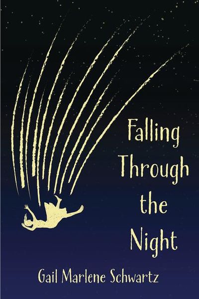Produktbild: Falling Through the Night (National Indie Excellence Award Winner, 2024)