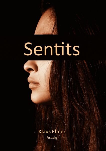 Produktbild: Sentits