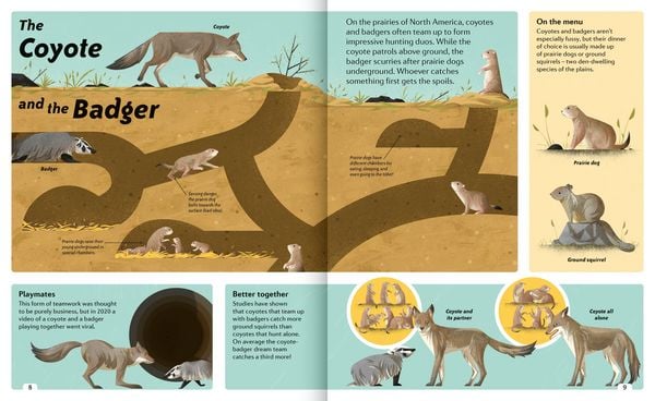 Produktbild: Animal Sidekicks