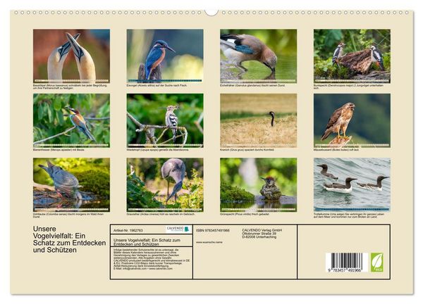 Produktbild: Unsere Vogelvielfalt: Ein Schatz zum Entdecken und Sch&uuml;tzen (hochwertiger Premium Wandkalender 2026 DIN A2 quer), Kunstdruck in Hochglanz