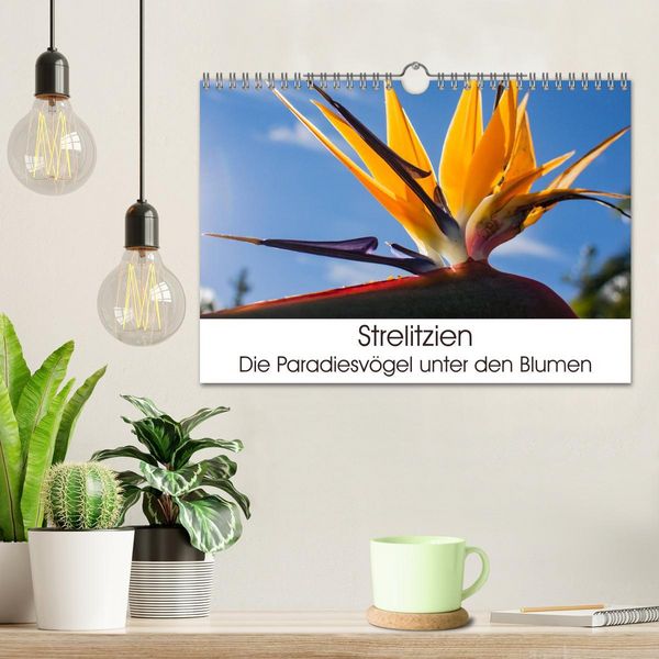 Produktbild: Strelitzien - die Paradiesv&ouml;gel unter den Blumen (Wandkalender 2026 DIN A4 quer), CALVENDO Monatskalender