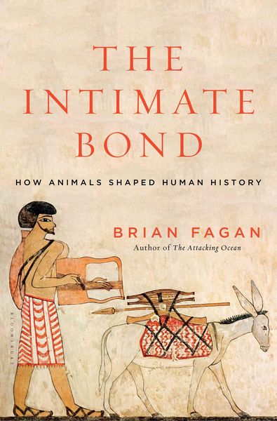 Produktbild: Fagan, B: The Intimate Bond
