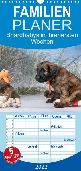 Produktbild: Briardbabys in ihren ersten Wochen - Familienplaner hoch (Wandkalender 2022 , 21 cm x 45 cm, hoch)