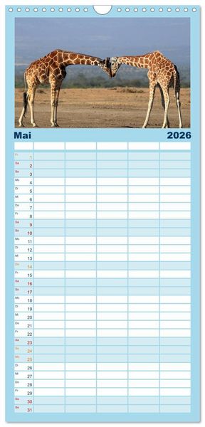 Produktbild: Familienplaner 2026 - Giraffen - Sanftheit und Anmut mit 5 Spalten (Wandkalender, 21 x 45 cm) CALVENDO