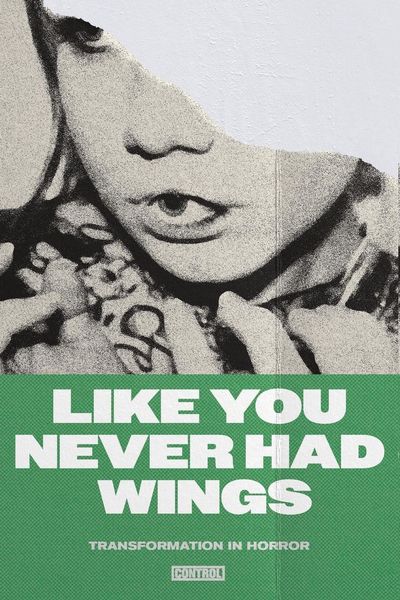 Produktbild: Like You Never Had Wings