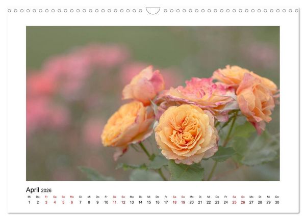 Produktbild: Oranger Bl&uuml;tentraum (Wandkalender 2026 DIN A3 quer), CALVENDO Monatskalender