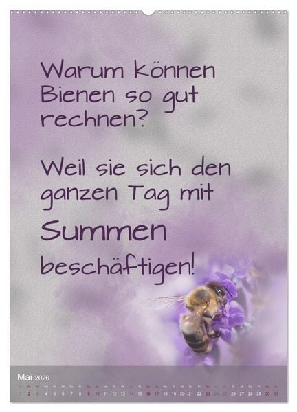 Produktbild: Heute ist ein guter Tag (Wandkalender 2026 DIN A2 hoch), CALVENDO Monatskalender
