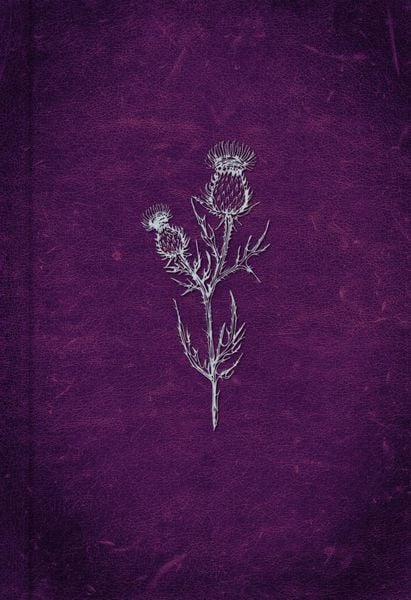 Produktbild: Crimson Throne (Spy and Guardian 1)