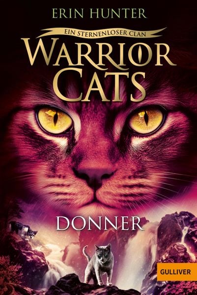 Produktbild: Warrior Cats - Ein sternenloser Clan. Donner