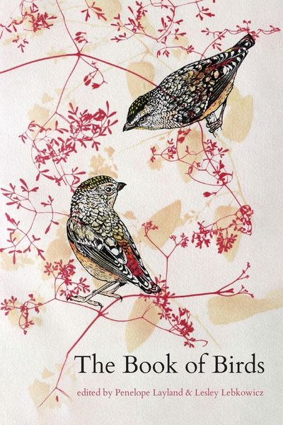 Produktbild: The Book of Birds