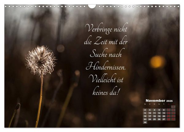 Produktbild: Chinesische Weisheiten (Wandkalender 2026 DIN A3 quer), CALVENDO Monatskalender
