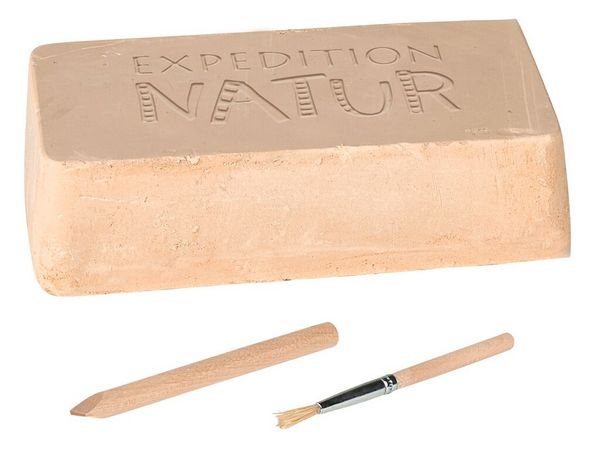 Produktbild: Expedition Natur Mini-Ausgrabungssets