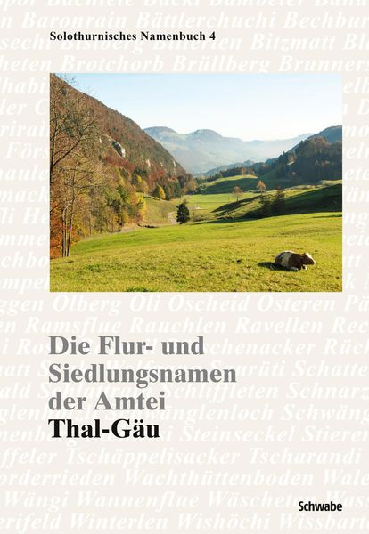 Produktbild: Die Flur- und Siedlungsnamen der Amtei