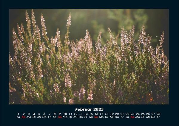 Produktbild: Blumentr&auml;ume 2025 Fotokalender DIN A4