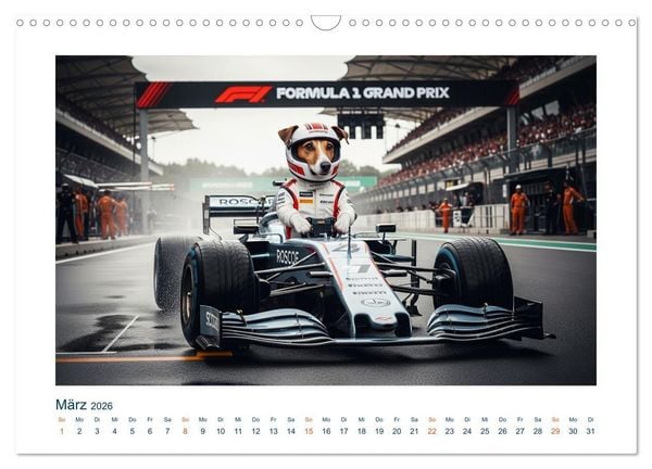 Produktbild: Jack Russel Active (Wandkalender 2026 DIN A3 quer), CALVENDO Monatskalender
