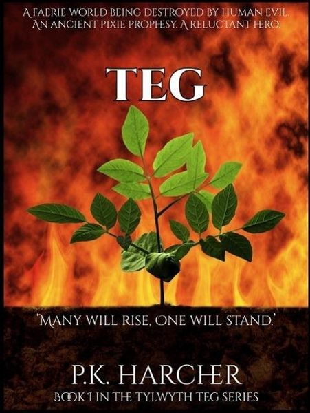 Produktbild: Teg (The Tylwyth Teg (Faerie Folk) Series, #1)