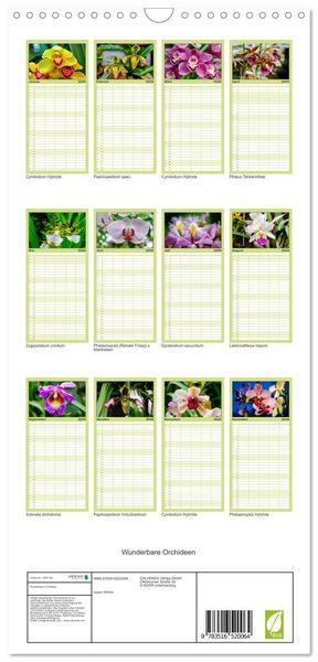 Produktbild: Familienplaner 2026 - Wunderbare Orchideen mit 5 Spalten (Wandkalender, 21 x 45 cm) CALVENDO