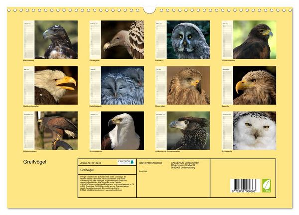 Produktbild: Greifv&ouml;gel (Wandkalender 2026 DIN A3 quer), CALVENDO Monatskalender