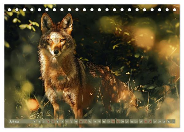 Produktbild: Die wilden Hunde (Tischkalender 2026 DIN A5 quer), CALVENDO Monatskalender