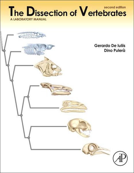Produktbild: The Dissection of Vertebrates